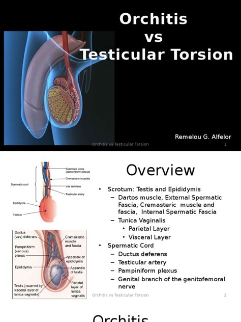 torsion testiculaire pdf